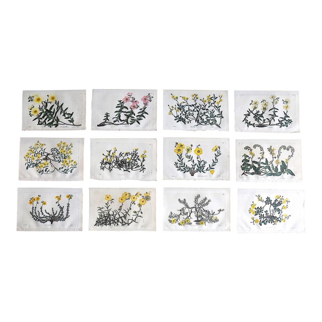 Authentic Antique Early 19th Century Hand Colored Copperplate Botanical Engravings - Set of 12 For Sale