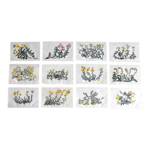 Authentic Antique Early 19th Century Hand Colored Copperplate Botanical Engravings - Set of 12