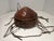 Antique Ethiopian Agelgil Woven Rattan & Leather Covered Basket Description: Offered is an authentic antique Ethiopian...