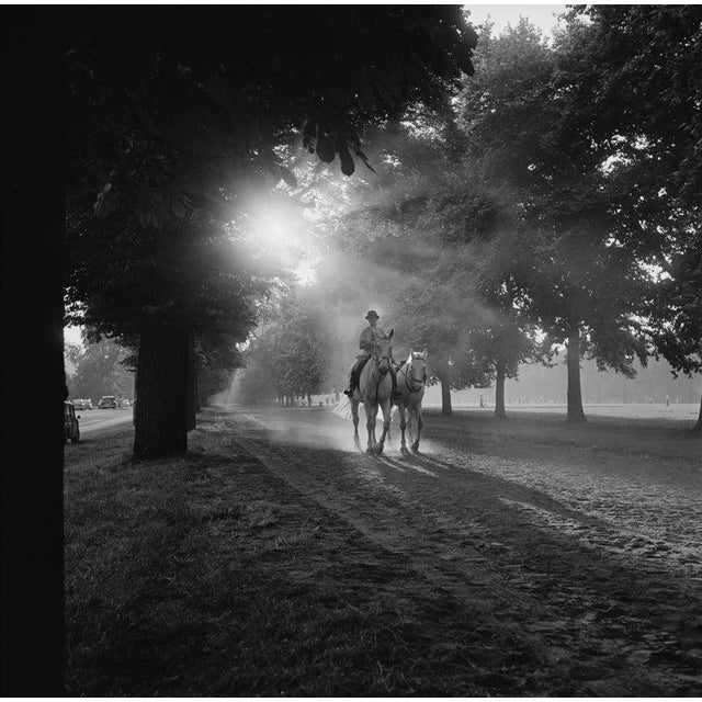 Rotten Row Unframed Archival Pigment Print Paper size: 12 x 12" inches / 30 x 30 cm Unframed Archival Pigment Print...