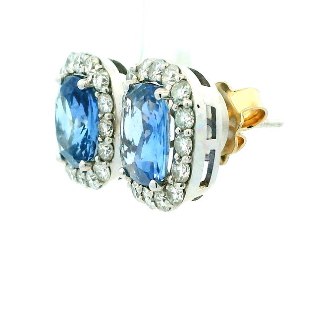 Ceylon Sapphire Diamond Cluster Earrings in 18k White Gold, 8.5 Carats, A Pair For Sale - Image 9 of 10