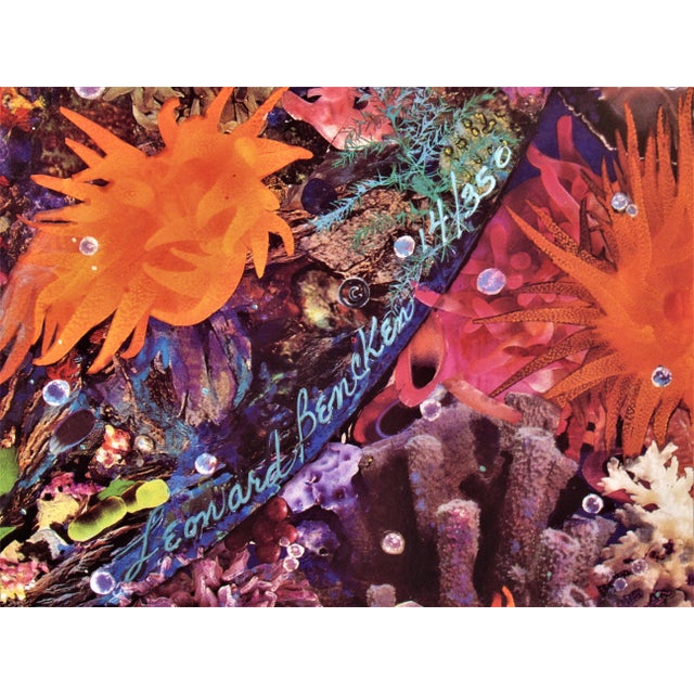 Late 20th Century Leonard Bencken, Sea Garden, Circa 1980 For Sale - Image 5 of 6