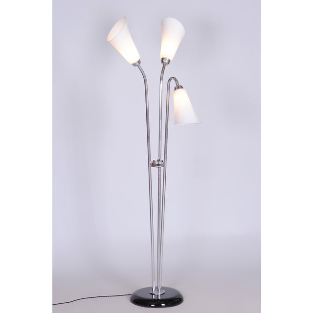 Czech Art Deco Floor Lamp in Chrome, Opal Glass and Lacquered Wood, 1930s For Sale - Image 15 of 15