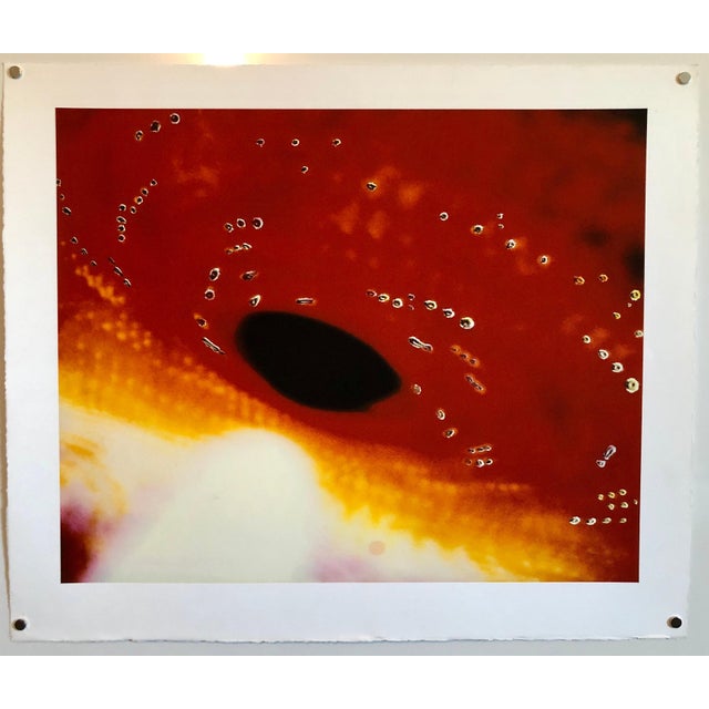 Abstract Expressionism Victor Raphael, Space Field, Digital Iris Print Muse X Large Photograph on Heavy Paper For Sale - Image 3 of 5
