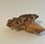 Chocolate Chinese Live Edge Carved Root Wood Frog Feng Shui For Sale - Image 8 of 10