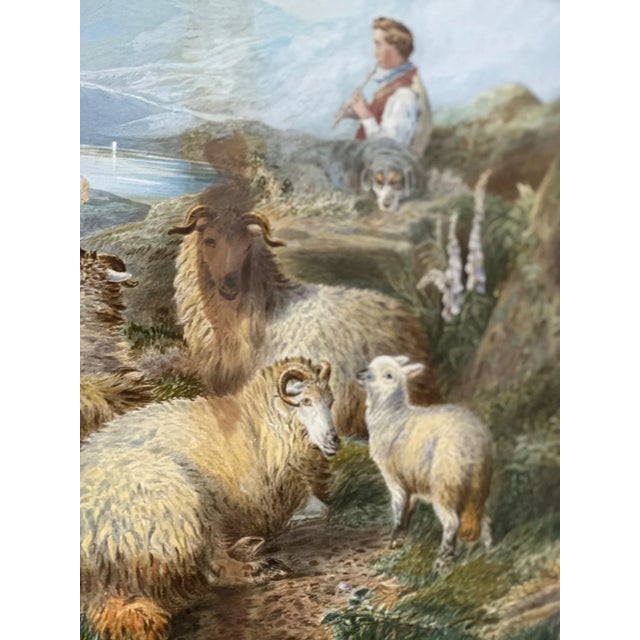 PH Staines, Sheep, Gouache on Paper, 1860 For Sale - Image 6 of 11