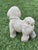 Late 20th Century Cast Stone Bichon Frise Garden Ornament For Sale - Image 5 of 7