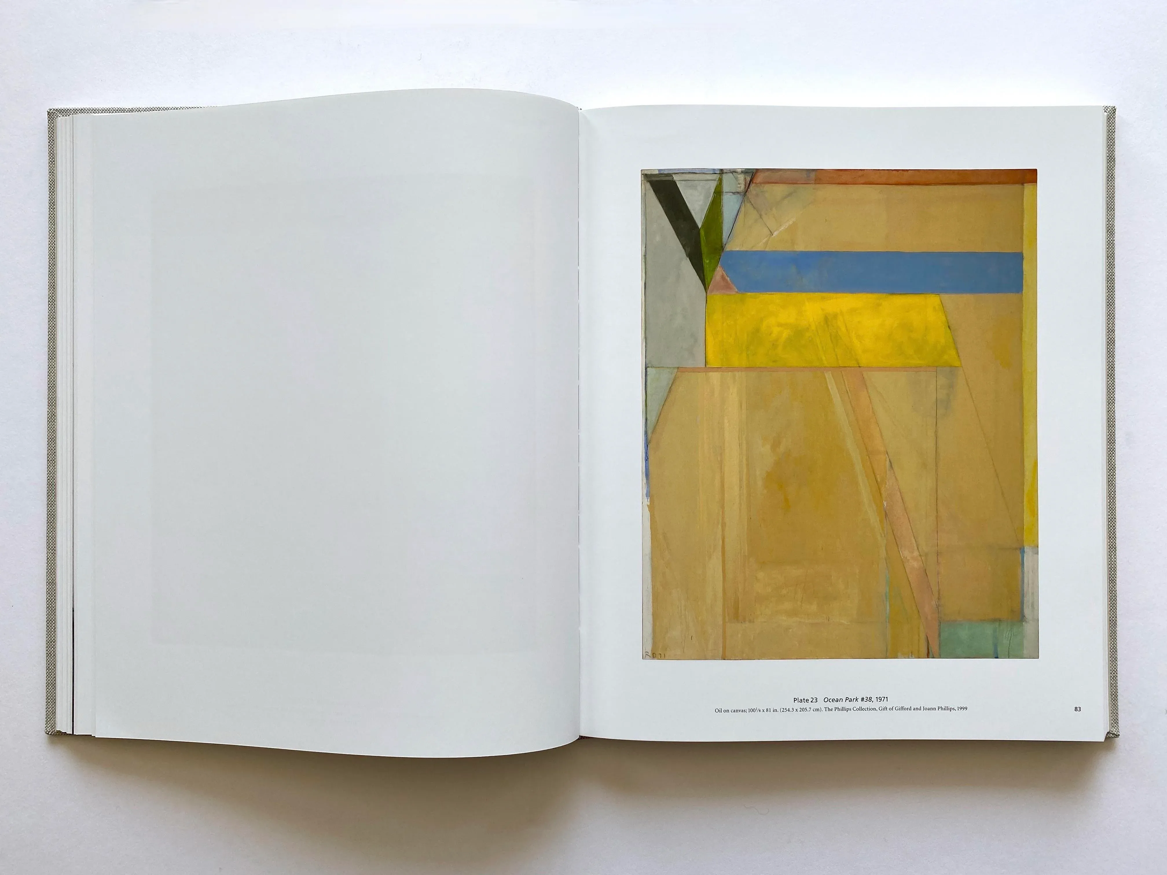 Richard Diebenkorn : The Ocean Park Series 