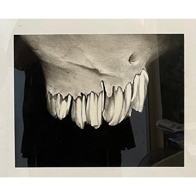 Abstract Erica Child Prud’homme, Charcoal Drawing Abstract Teeth Bone Erica Child Prudhomme American Woman Artist, 1994 For Sale - Image 3 of 5
