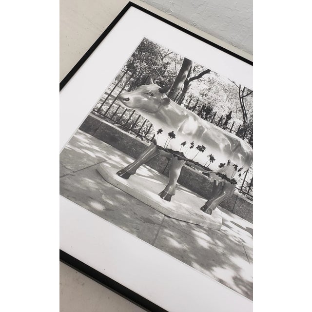 Leo Theinert (American) "Clean Sweep" Original Black and White Silver Gelatin Photograph 20th C. For Sale In San Francisco - Image 6 of 9