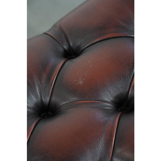 Dark Brown Chesterfield Footstool in Cowhide For Sale - Image 10 of 12