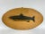 Antique Painted Carved Wood Fish Wall Sculpture For Sale In New York - Image 6 of 6