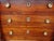 Chest of Drawers in Walnut For Sale - Image 4 of 18