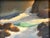Vintage Framed Impressionist Seascape Oil Painting on Panel For Sale - Image 4 of 7