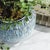 Ceramic Vista Pot For Sale - Image 7 of 7