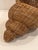 Monumental Woven Rattan Shell Form Sculpture For Sale - Image 13 of 15