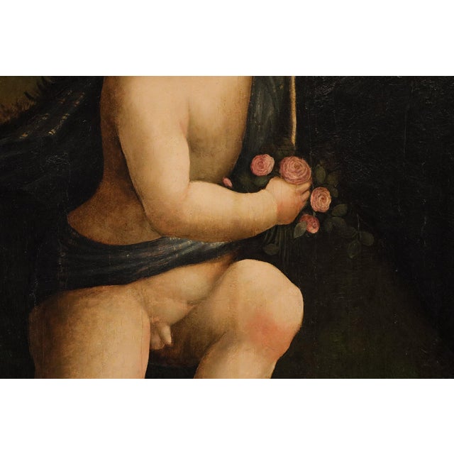 Workshop of Marco Palmezzano, Saint John the Baptist as a Child, 16th Century, Oil Painting on Panel For Sale - Image 13 of 15