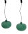 Green Ceiling Lamps by Alessandro Pianon for Lumenform, 1960s, Set of 2 For Sale
