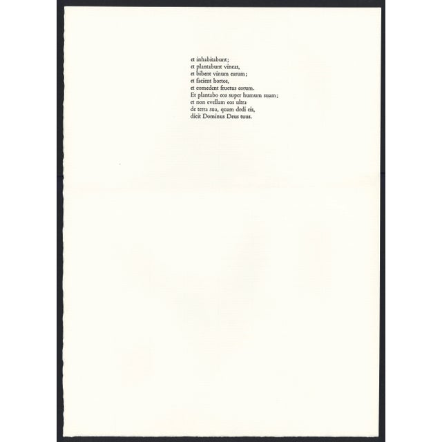 1968 Salvador Dalí Biblia Sacra "Susannae Pulchritudo" (The Beauty of Susanna) For Sale - Image 9 of 11