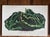Green Charming Set of 7 Authentic 19th Century Color Botanical Prints Unframed For Sale - Image 8 of 9