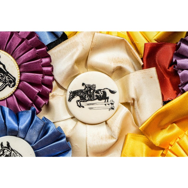 Unique Horse Show Ribbon Trophy Collage Vintage Country Home Wall Decor For Sale - Image 4 of 9