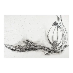 Mid 20th Century Pen and Ink Expressionist Driftwood Drawing