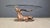 Brass Deer Coffee Table, 1970s For Sale - Image 9 of 13