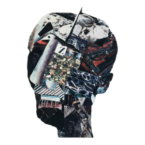 Anne Sager "Angst" Photograph Collage C-Print