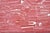 Stone Modern Lava Marble Inlay Pink Coral Covered Jewelry Trinket Box by Current Home For Sale - Image 7 of 15