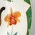 8 Inch Accent Plate Monkey Magic by Lynn Chase Animalier Dinnerware For Sale In New York - Image 6 of 12