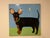 Folk Art Folk Art Painting of a Dog Named “Dunder” by Artist Cate Christen Waung For Sale - Image 3 of 7