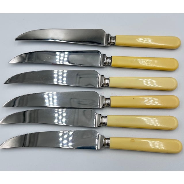 Vintage Philip Ashberry & Sons Sheffield England Celluloid Dinner Knife Set - 6pc For Sale - Image 9 of 11