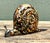 Brown Vintage Coconut Shell Snail For Sale - Image 8 of 12