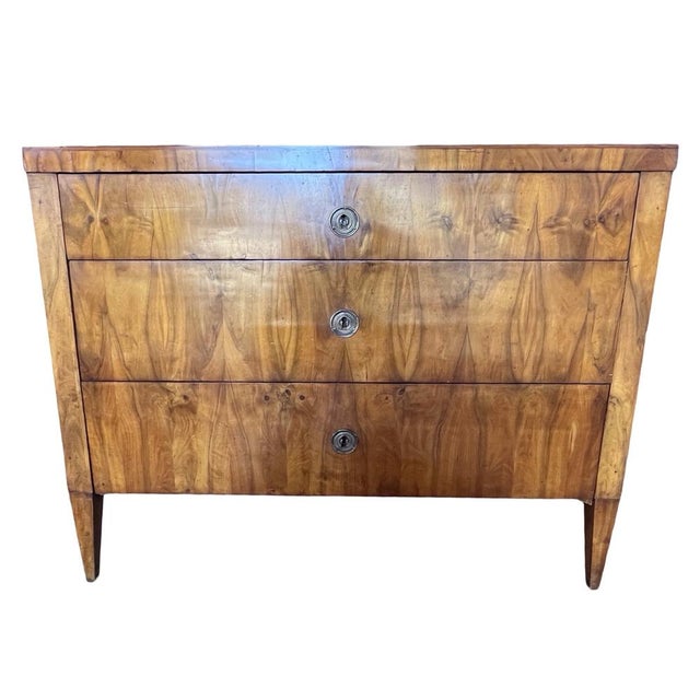 18th Century Neoclassical Italian Elm Chest of Drawers For Sale - Image 12 of 15