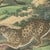 Antique Lion, Jaguar, Leopard and Cheetah Print by Kolb, 1890 For Sale - Image 6 of 12