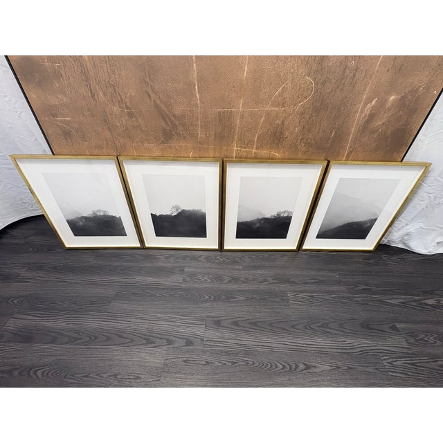 Rh Kate Schermerhorn “Hidden Detail” Art Collection – Complete Set of 4 For Sale - Image 17 of 18