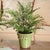100% realistic a perfect copy of your favorite greens. These dropins are nohassle works of art. Right down to the...