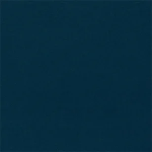 Sanderson Dorton Fabric in Petrol - a Sample