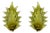 Italian Modern Murano Glass Leaf Sconces, 2000, Set of 2 For Sale