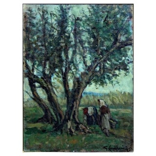 Giuseppe Comparini, The Olive Harvest, 1969, Oil on Canvas For Sale