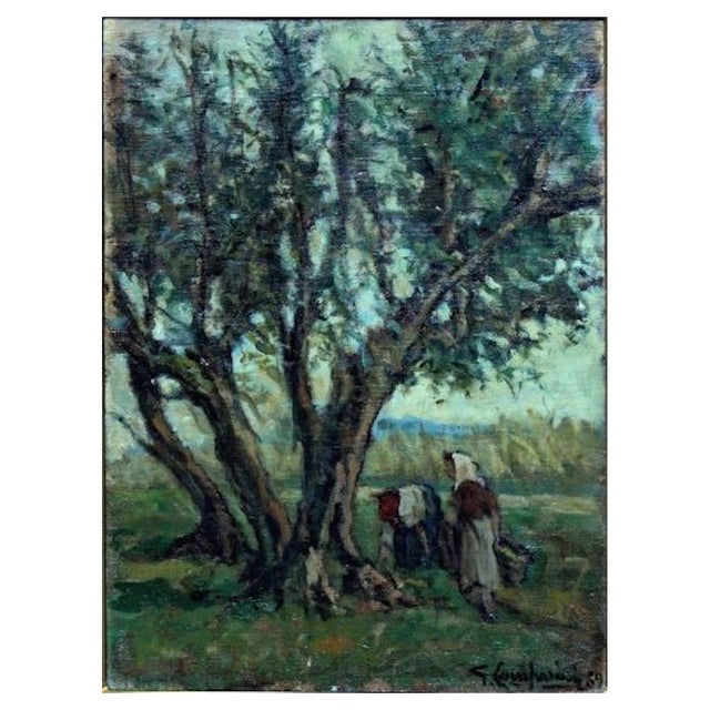 Giuseppe Comparini, The Olive Harvest, 1969, Oil on Canvas For Sale