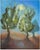 Roberto Cuccaro, Moonlight, 2000s, Oil on Canvas For Sale - Image 4 of 4
