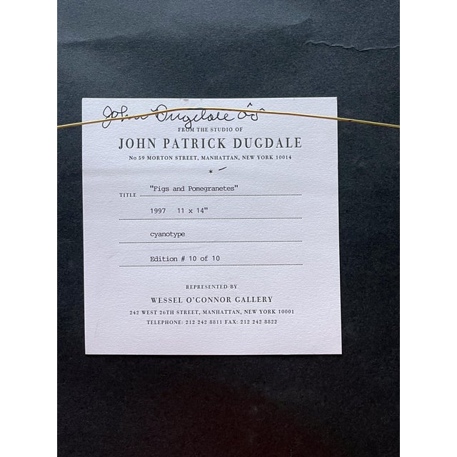 Black Framed Editioned Cyanotype Photography by John Dugdale For Sale - Image 8 of 8