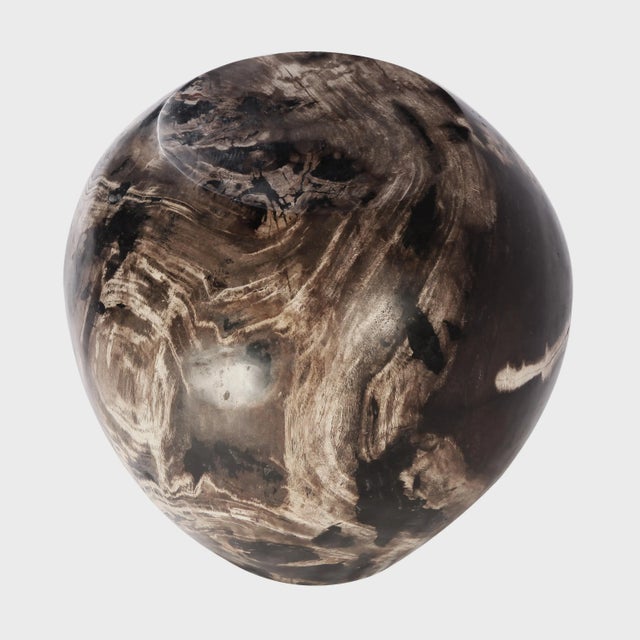 Organic Modern Petrified Wood Stool Accent Table For Sale - Image 4 of 7