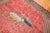 Folk Art Early 20th Century Pictorial Bakshaish Animal Motif Rug - 9'9" x 14' For Sale - Image 3 of 6