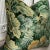 Between garden gates and stone walls, the floral majesty of Chelsea breathes life into delicate pinwale velvet with a...