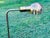 George Kovacs Vintage 1970s Brass Adjustable Floor Lamp by Casella Lighting Co For Sale - Image 4 of 7