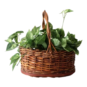 Vintage Wicker Handle Basket