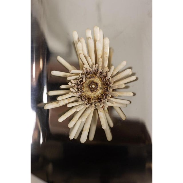 Large Polished Metal Wall Sconces, 1970s, Set of 2 For Sale - Image 6 of 9