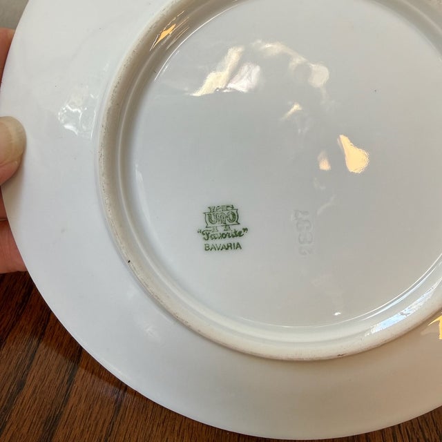 Early 20th Century Set of 2 Antique Uno Favorite Bavaria Floral Plate For Sale - Image 5 of 10